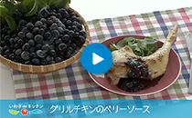 vol.06 グリルチキンのベリーソース