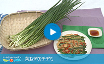 vol.08 葉ねぎのチヂミ