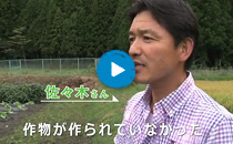｢見せます！いわき菜園｣とは
